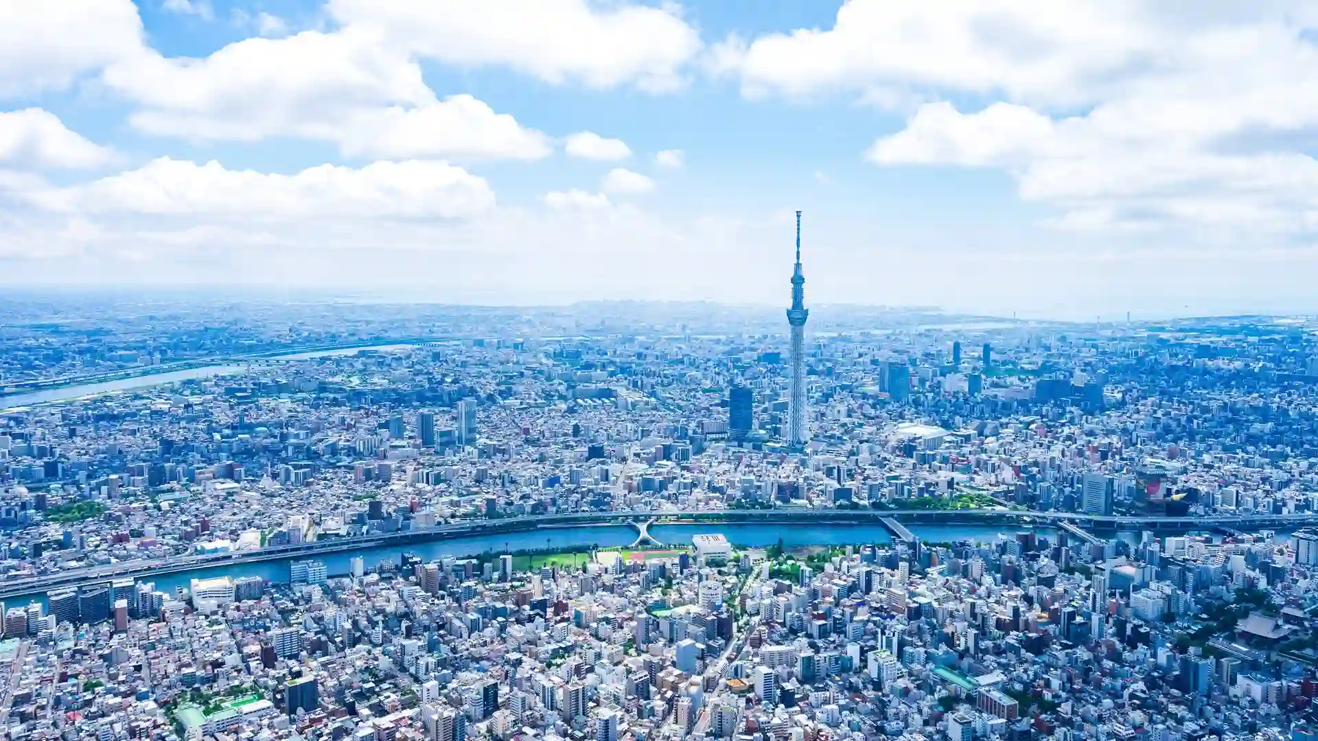 Service illustration